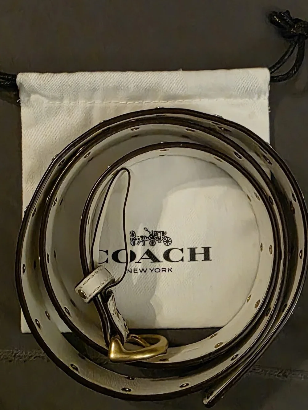 Coach Belt